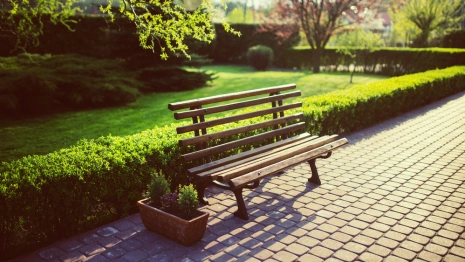 Подрядчиков предупредили о наказании за срыв благоустройства сквера и дворов во Владимире