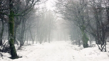 Прогноз погоды во Владимире и области на 6 апреля 2025 года