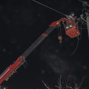 Во Владимирской области энергетики срубили 2,6 тыс. деревьев