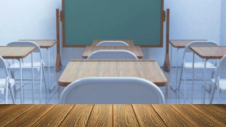 Во Владимире учителя уволят после избиения ребенка в школе №33