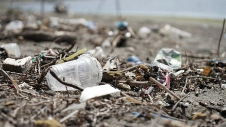 Владимирская область попросит помощи у Москвы в вывозе мусора