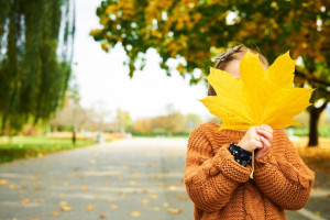
Прогноз погоды во Владимире и области на 14 сентября