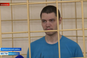 Дело осужденного на 20 лет за похищение первоклассника владимирца дошло до облсуда