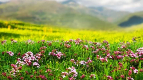 В выходные во Владимирскую область придет теплая погода