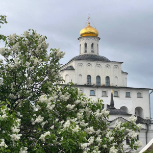 Во Владимире разработают проект озеленения