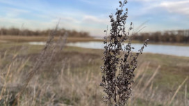 Прогноз погоды во Владимирской области на 25 марта 2026 года