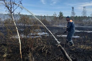 Торфяной пожар во Владимирской области потушили спустя 4 дня