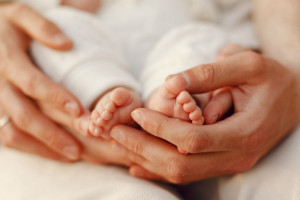 Во Владимирской области с начала года родилась одна тройня