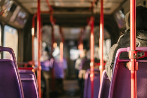 Во Владимирской области тарифы на проезд в автобусах поднимут с 10 января
