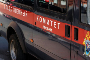 Силовики установили личность взорвавшего гранату в александровском парке