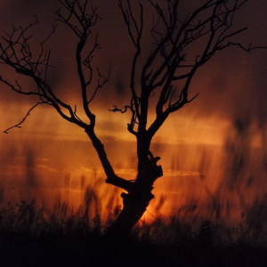 Во Владимирской области введут 4 класс пожарной опасности