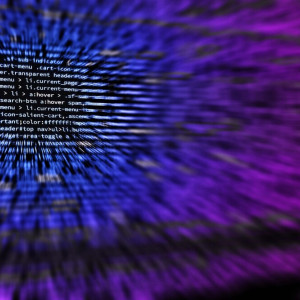 Власти обеспечат стажировку студентов в IT-предприятиях