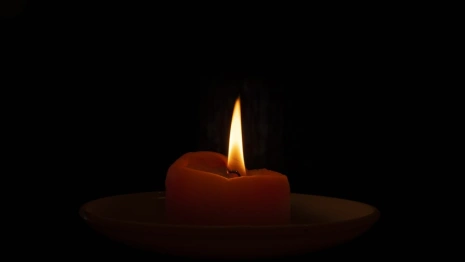 Во Владимирской области скончался директор ООО «Эколес»