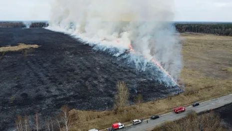 Крупный пожар во Владимирской области показали с высоты птичьего полета
