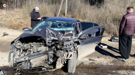 Водитель из Кольчугино угробил в ДТП собственную 85-летнюю мать