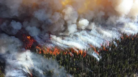 Глава Владимирской области о лесных пожарах: «Мы должны быть готовы к худшему сценарию»