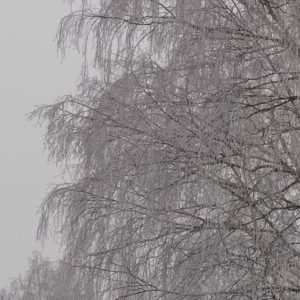 Прогноз погоды во Владимире и области на 1 февраля