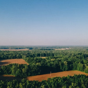 Во Владимирской области ввели новую льготу для участников СВО