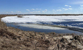 Прогноз погоды во Владимирской области на 8 апреля 2026 года