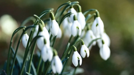 Синоптики рассказали о погоде во Владимирской области на 8 марта