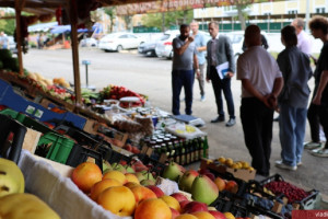 
Во Владимире на овощной ярмарке повесили ловушку на мраморного клопа