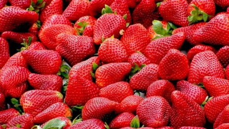 Клубничный сезон. Как владимирцам правильно выбрать ягоду