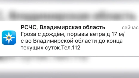МЧС предупредило жителей Владимирской области о ливне с грозой и урагане 2 июля