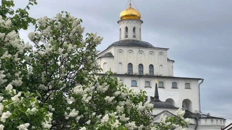 Во Владимире разработают проект озеленения