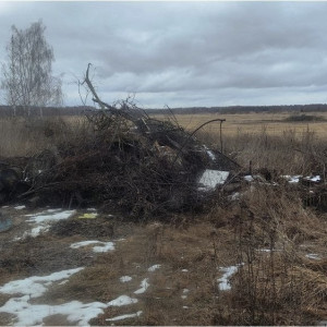 В Собинском районе прокуратура потребовала ликвидировать стихийную свалку