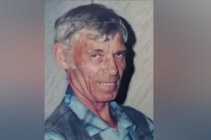 Во Владимирской области начали поиски пропавшего пенсионера