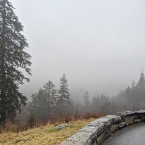 Прогноз погоды во Владимире и области на 7 декабря 2025 года