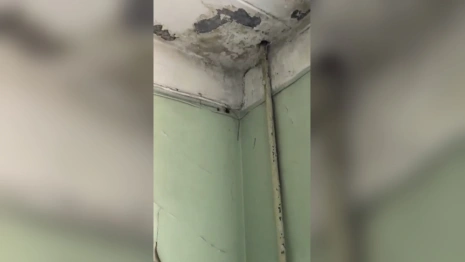 В больнице №2 во Владимире подтвердили наличие грибка на потолке