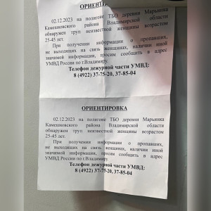 Во Владимире развесили ориентировки из-за найденного на мусорном полигоне трупа