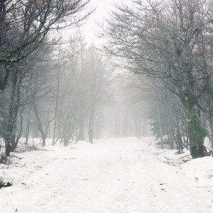 Прогноз погоды во Владимире и области на 6 апреля 2025 года