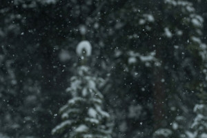 Прогноз погоды во Владимирской области на 15 декабря 2024 года