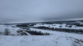 Прогноз погоды во Владимире и области на 9 февраля 2026 года