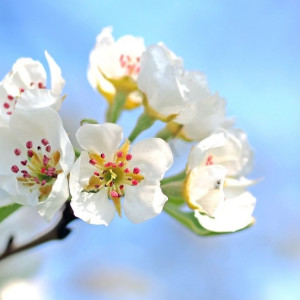 Во Владимирскую область вернется 20-градусное тепло