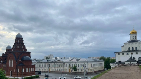 Пропавшего во Владимирской области 13-летнего мальчика нашли в 15 км от дома