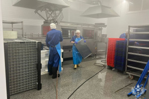 Во Владимире закрыли рыбное производство из-за сильного запаха