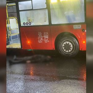 Во Владимире автобус сбил 2 пешеходов