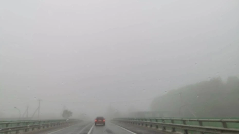 На Владимирскую область опустился густой туман