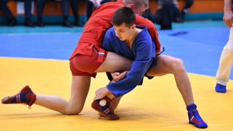Во Владимире пройдут соревнования по мужскому самбо