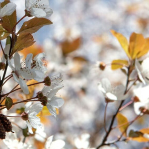 Прогноз погоды во Владимирской области на 7 мая