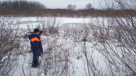 Во Владимирской области спасли провалившуюся под лед женщину