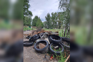 Владимирцы завалили губернатора жалобами после новости о следящей за чистотой нейросети
