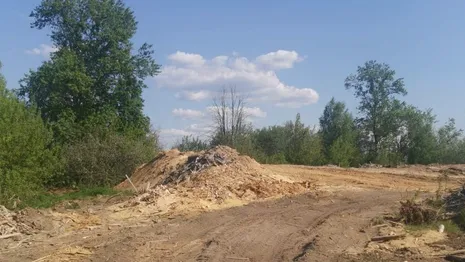 Во Владимирской области у села нашли свалку из опилок площадью 700 квадратов
