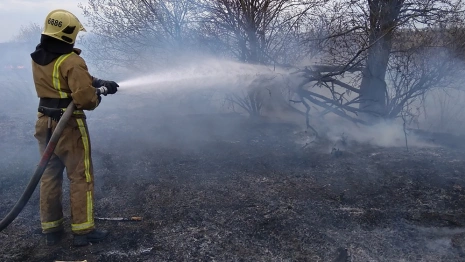 Во Владимирской области объявили о завершении пожароопасного сезона
