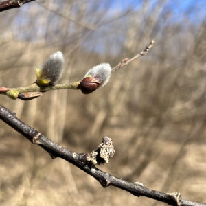 Прогноз погоды во Владимирской области на 28 февраля 2025 года