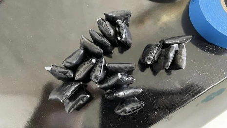 Во Владимире девушки 17 и 19 лет стали наркодиллерами