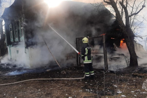 Спасители раскрыли подробности смертельного пожара под Судогдой